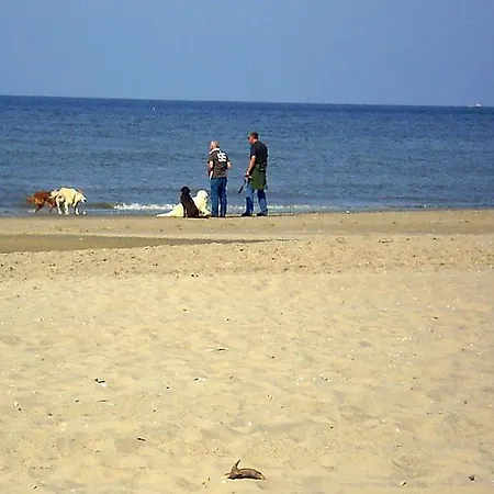 Holiday home Noordwijk-binnen Sleeps 8 Wifi