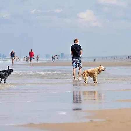 Noordwijk-binnen Sleeps 8 Wifi Holiday home *